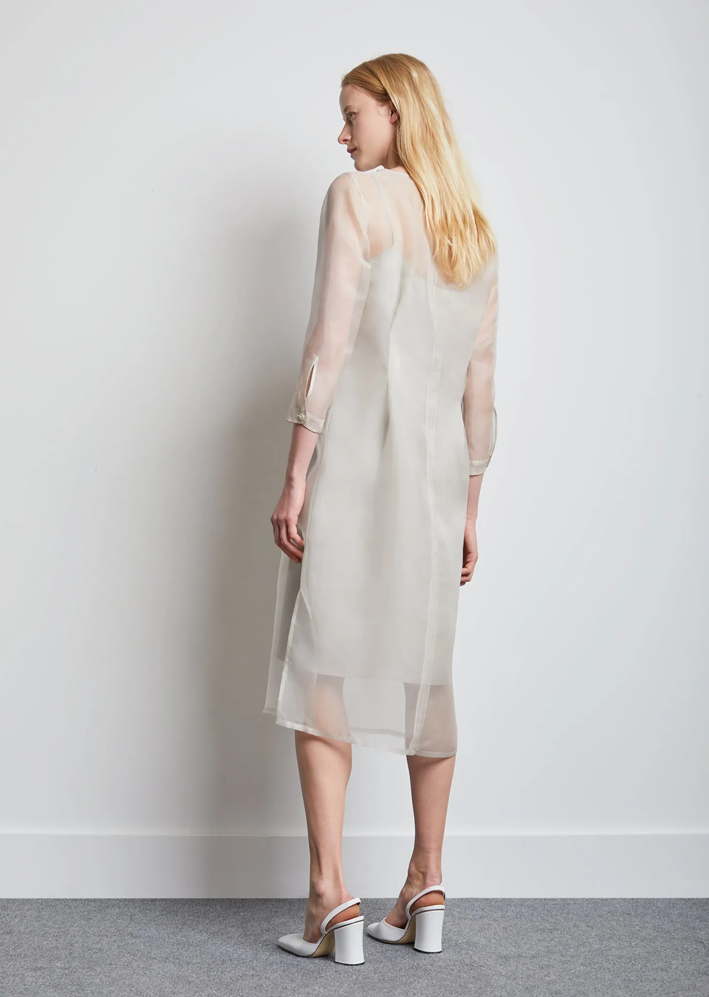 Didion Organza Dress