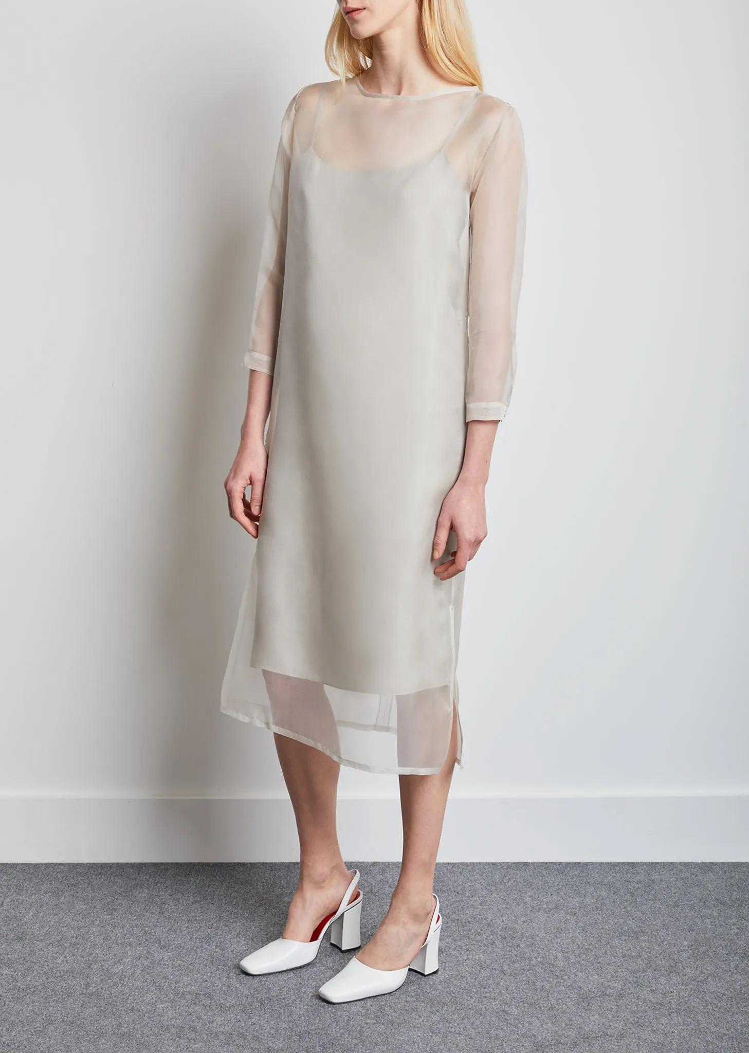 Didion Organza Dress