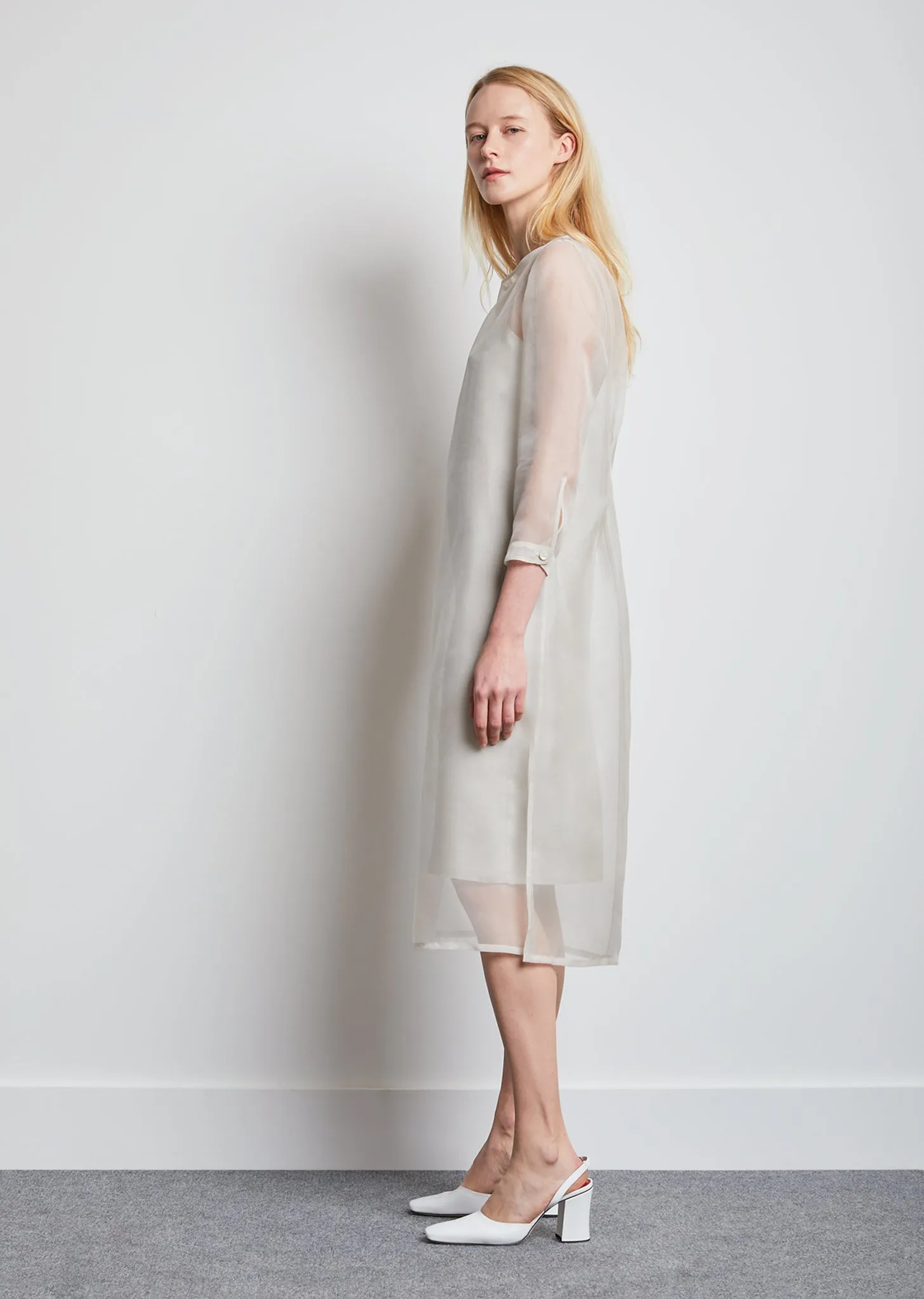 Didion Organza Dress