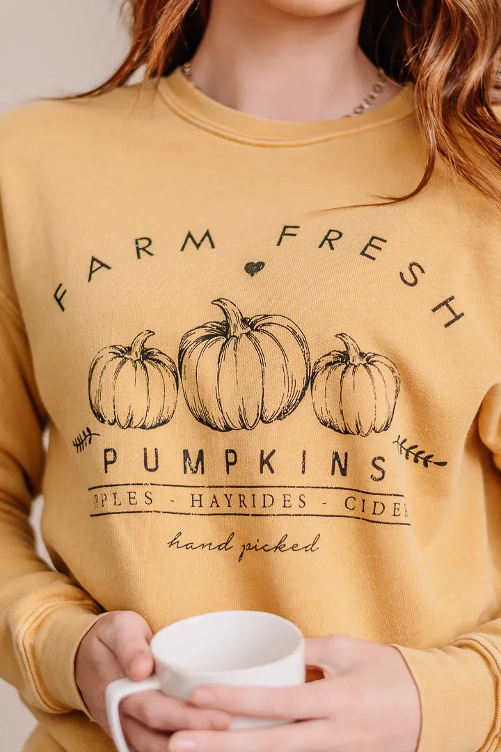 Farm Fresh Pumpkins Graphic Sweatshirt