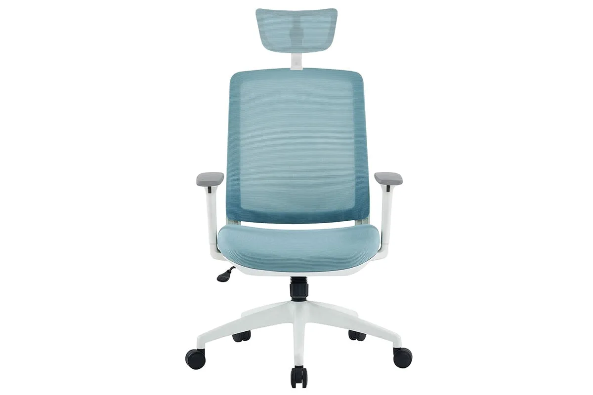 Finch Ergonomic Mesh Chair with Headrest