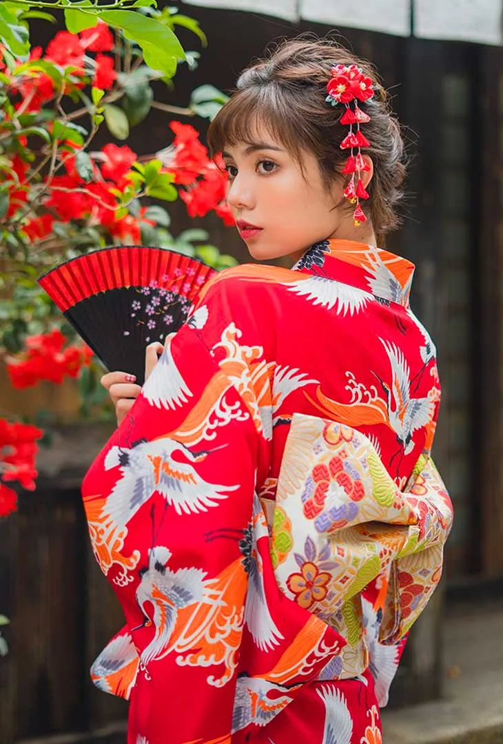 Kimono Traditional Japanese Dress