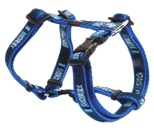 Rogz Fancy Dress - Extra Large Harness & Collar