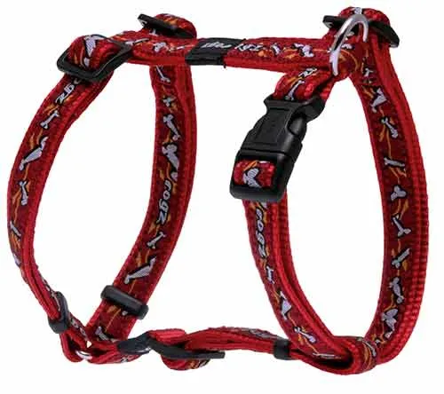 Rogz Fancy Dress - Extra Large Harness & Collar