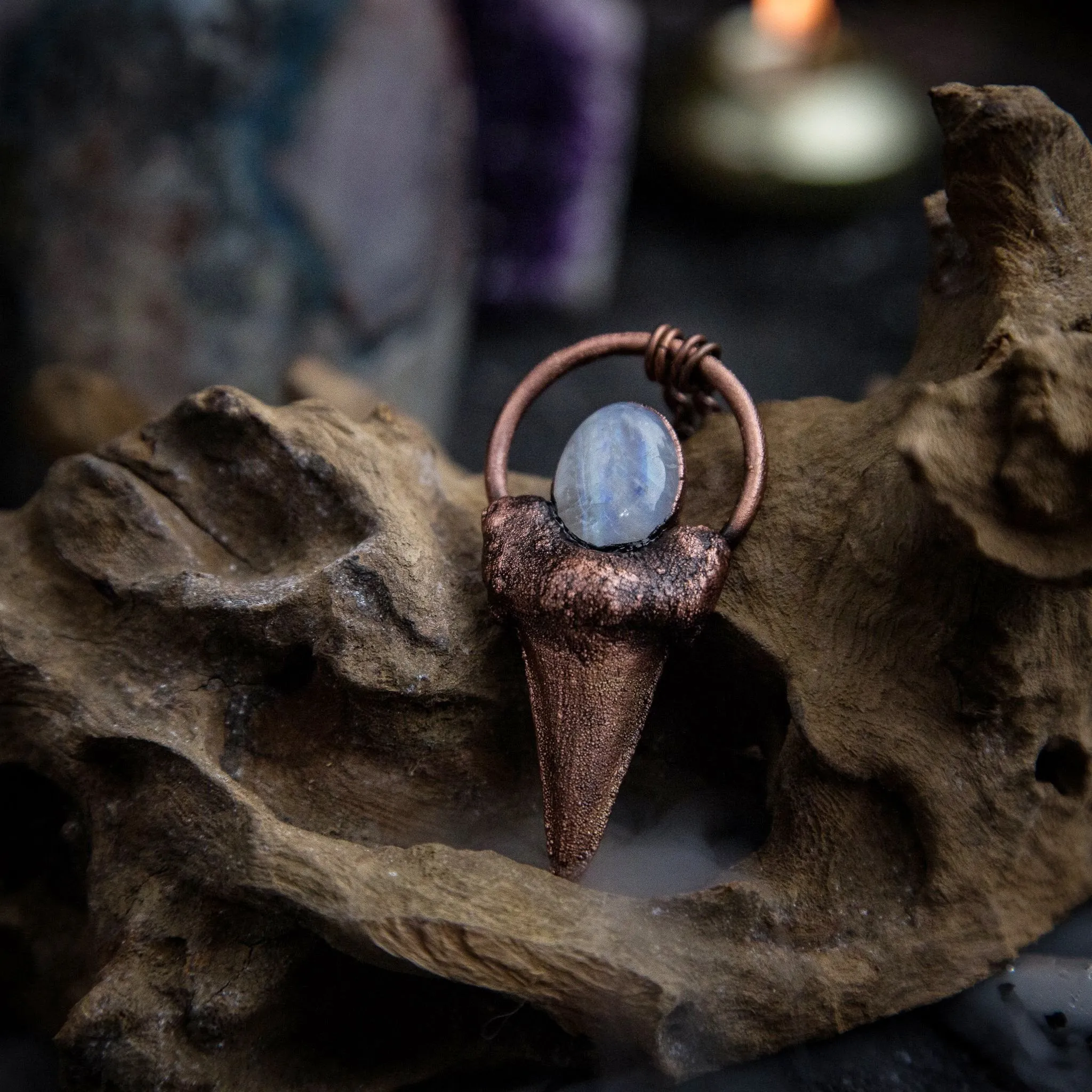 Shark Tooth pendant with Moonstone