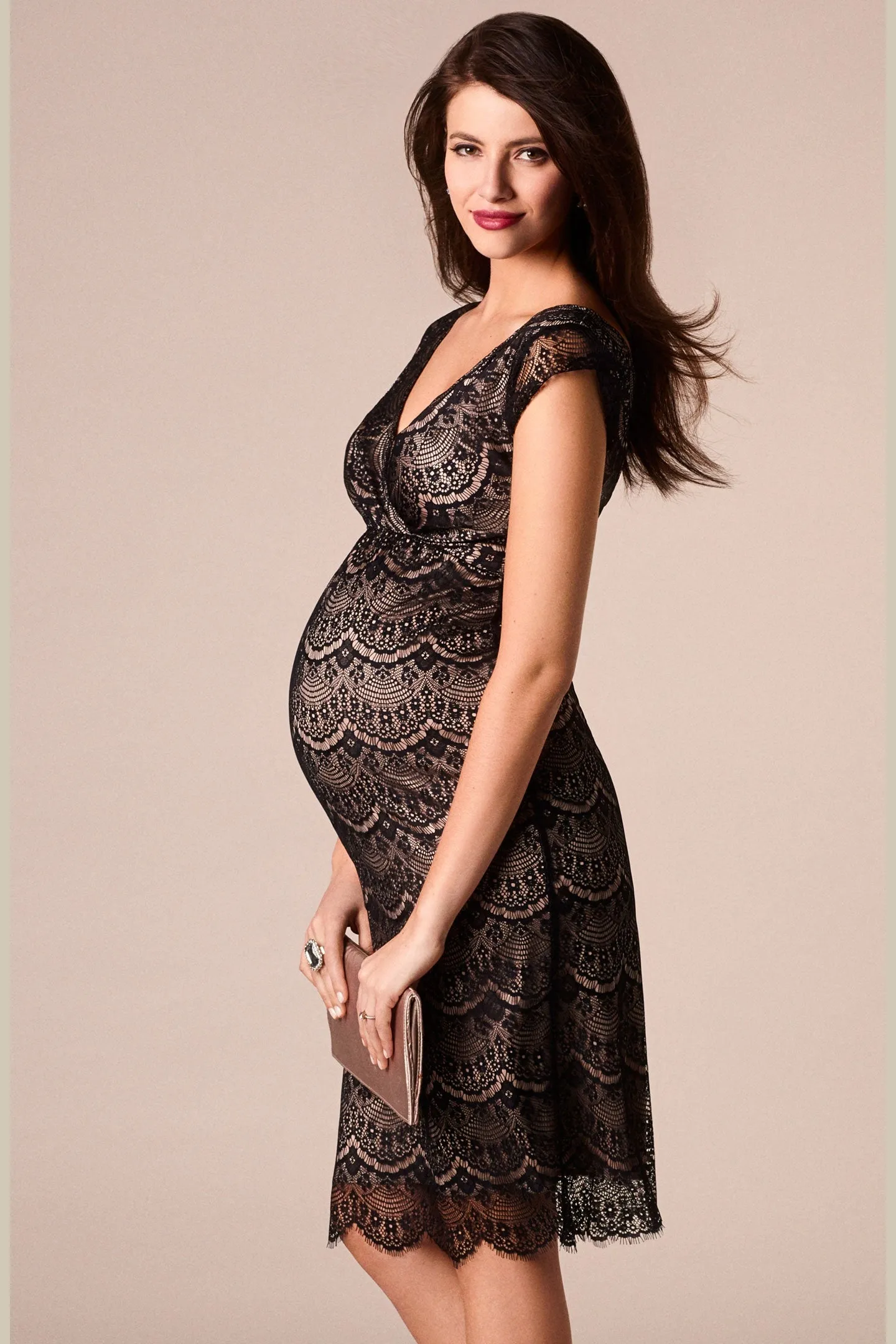 Tiffany Rose Imogen Lace Maternity & Nursing Dress